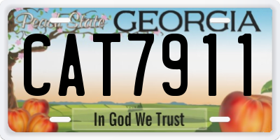GA license plate CAT7911