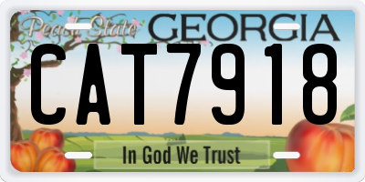 GA license plate CAT7918
