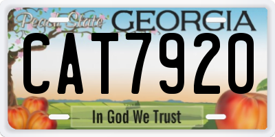 GA license plate CAT7920