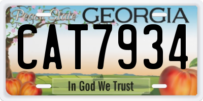 GA license plate CAT7934