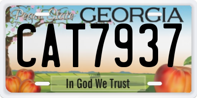 GA license plate CAT7937