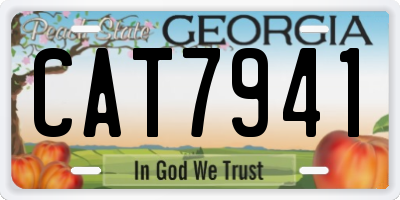GA license plate CAT7941