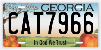 GA license plate CAT7966
