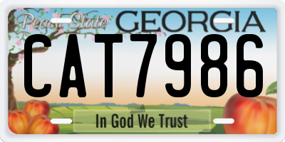 GA license plate CAT7986