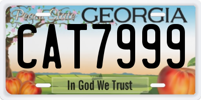 GA license plate CAT7999