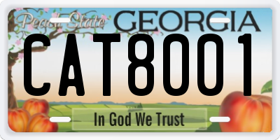 GA license plate CAT8001