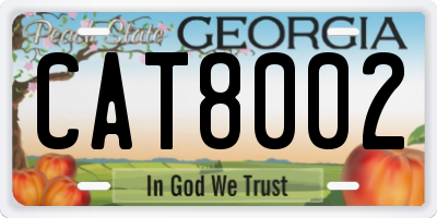 GA license plate CAT8002