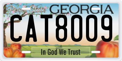 GA license plate CAT8009