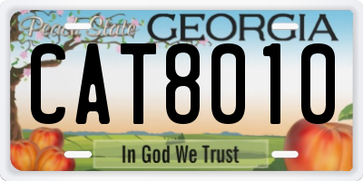 GA license plate CAT8010