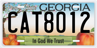 GA license plate CAT8012