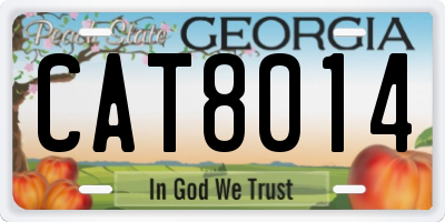 GA license plate CAT8014