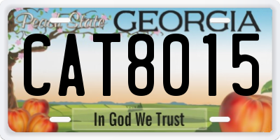 GA license plate CAT8015