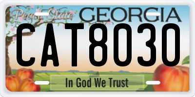 GA license plate CAT8030