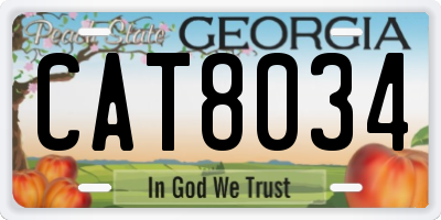 GA license plate CAT8034