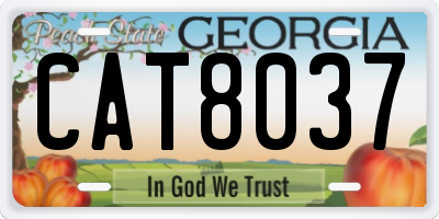 GA license plate CAT8037