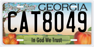 GA license plate CAT8049