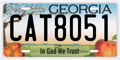 GA license plate CAT8051