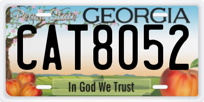 GA license plate CAT8052