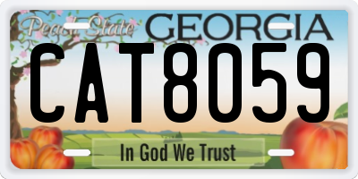 GA license plate CAT8059