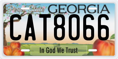 GA license plate CAT8066