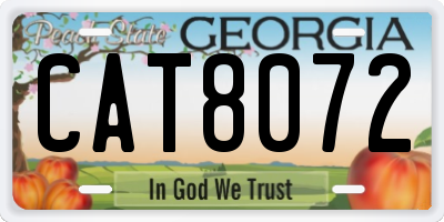GA license plate CAT8072