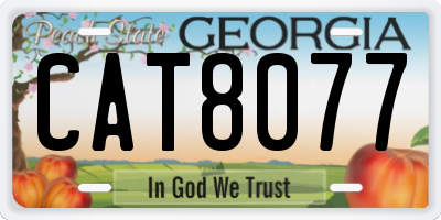 GA license plate CAT8077