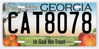 GA license plate CAT8078