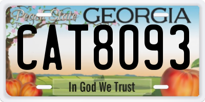 GA license plate CAT8093