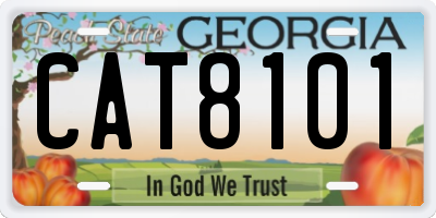 GA license plate CAT8101