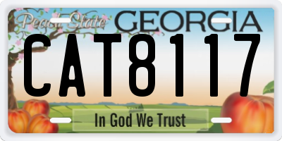 GA license plate CAT8117