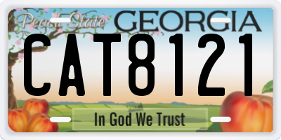 GA license plate CAT8121