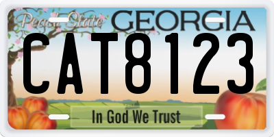 GA license plate CAT8123