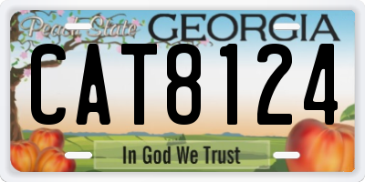 GA license plate CAT8124