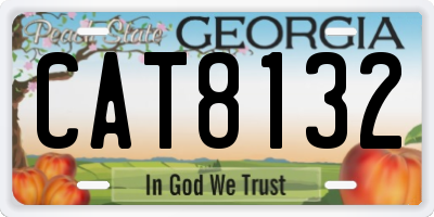 GA license plate CAT8132