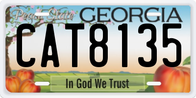 GA license plate CAT8135