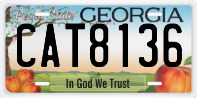 GA license plate CAT8136