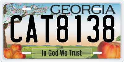 GA license plate CAT8138