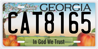 GA license plate CAT8165