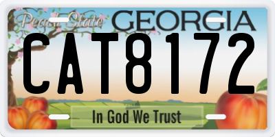 GA license plate CAT8172