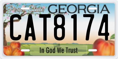 GA license plate CAT8174