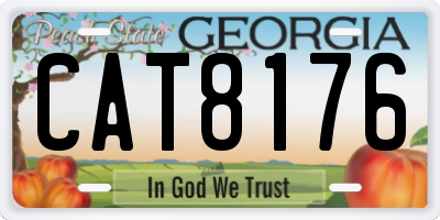 GA license plate CAT8176