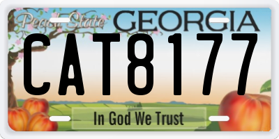 GA license plate CAT8177