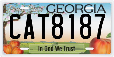 GA license plate CAT8187