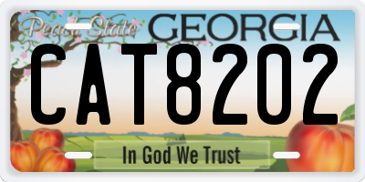 GA license plate CAT8202