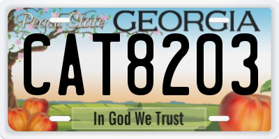 GA license plate CAT8203
