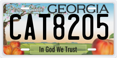 GA license plate CAT8205