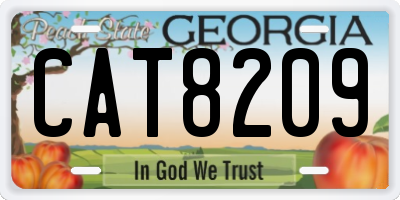 GA license plate CAT8209