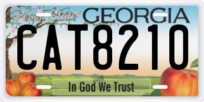 GA license plate CAT8210