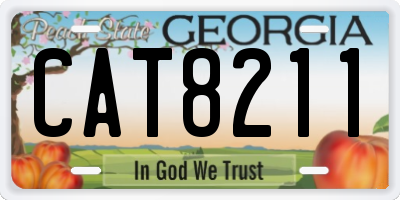 GA license plate CAT8211