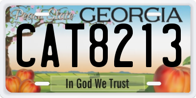 GA license plate CAT8213
